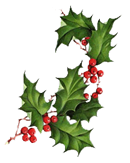 Holly_Left_Trans