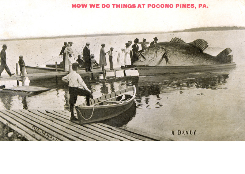 Spring fishing on Lake Naomi ... Proof positive that fishing in our community is the best in the country. This whimsical postcard, entitled 'A Dandy,' was created by A.S. Johnson Jr., copyright 1915.