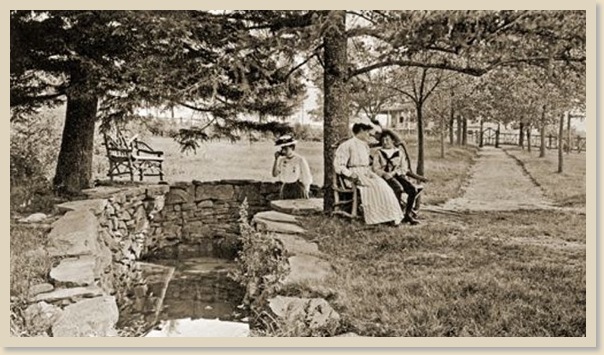 1906-Naomi-Pines-Spring-Reduced